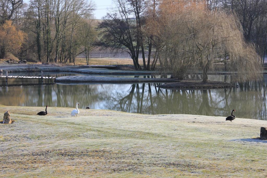 Domaine Du Moulin De L'Etang Bed and Breakfast Châtillon-sur-Marne Εξωτερικό φωτογραφία