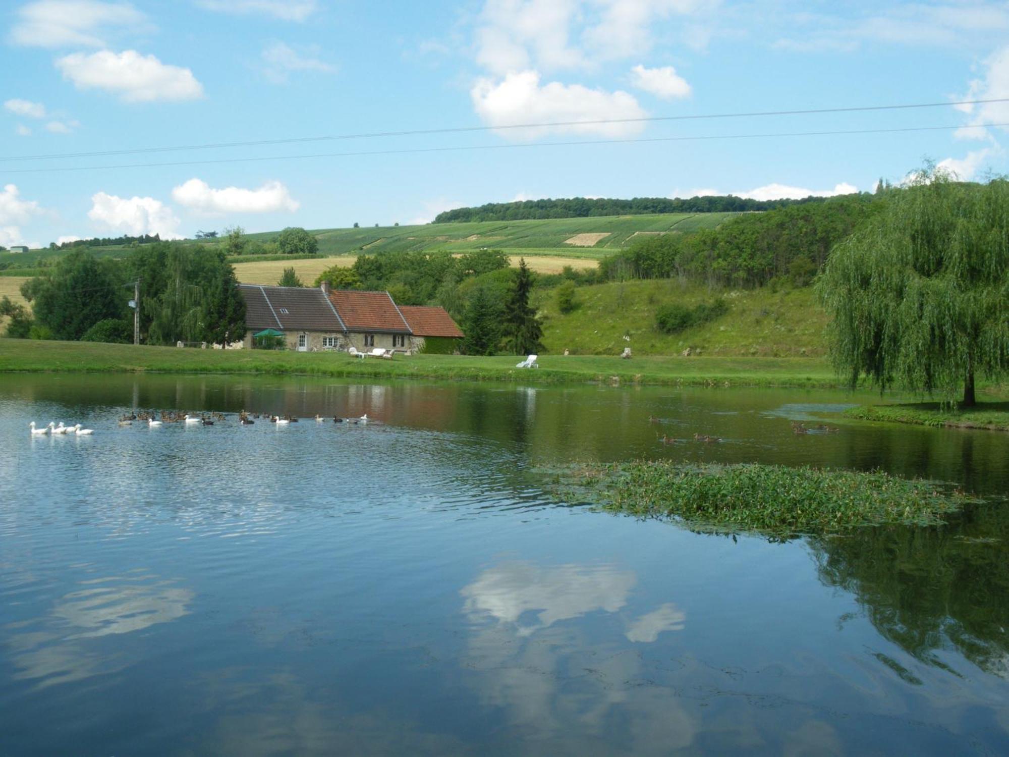 Domaine Du Moulin De L'Etang Bed and Breakfast Châtillon-sur-Marne Εξωτερικό φωτογραφία