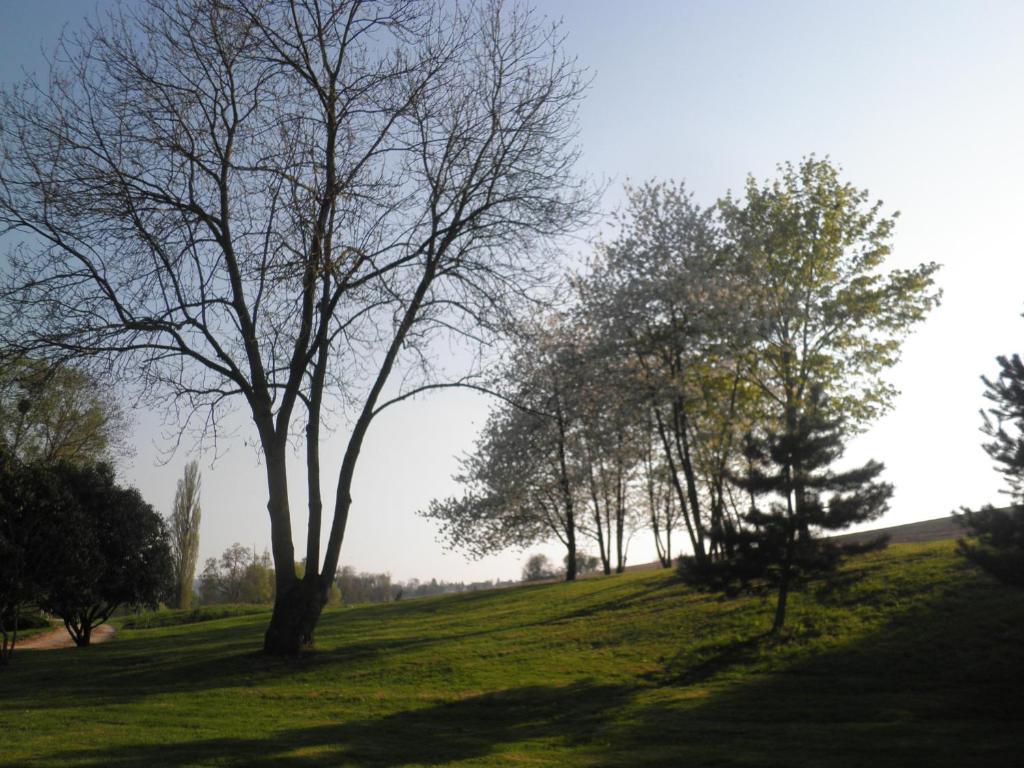 Domaine Du Moulin De L'Etang Bed and Breakfast Châtillon-sur-Marne Δωμάτιο φωτογραφία