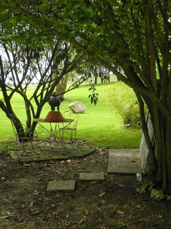 Domaine Du Moulin De L'Etang Bed and Breakfast Châtillon-sur-Marne Εξωτερικό φωτογραφία
